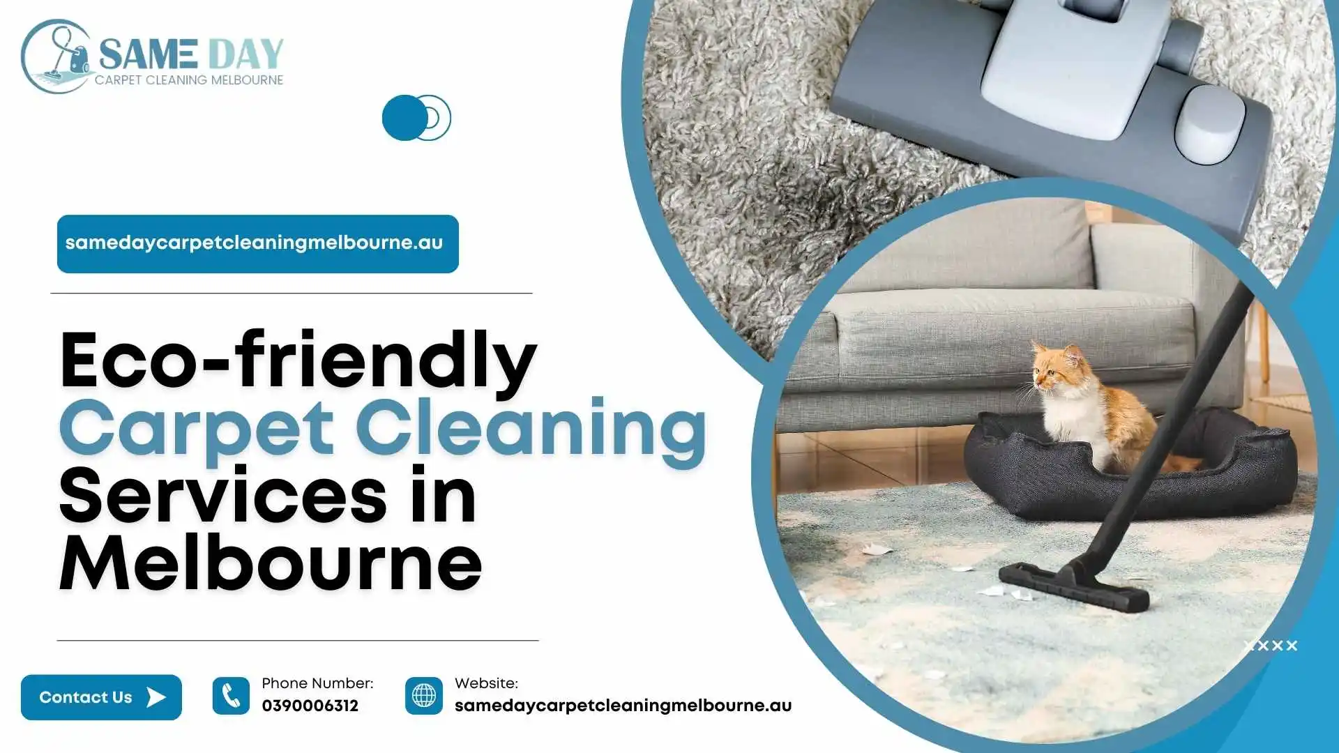 Eco-friendly Carpet Cleaning Services in Melbourne